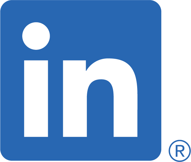 LinkedIn social media icon